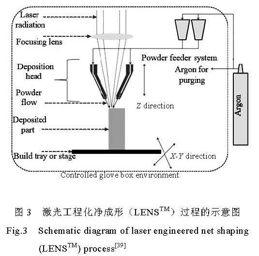 t3.jpg